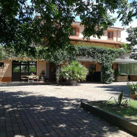 Guesthouse Skofije Ob Parenzani Spodnje Skofije Екстериор снимка